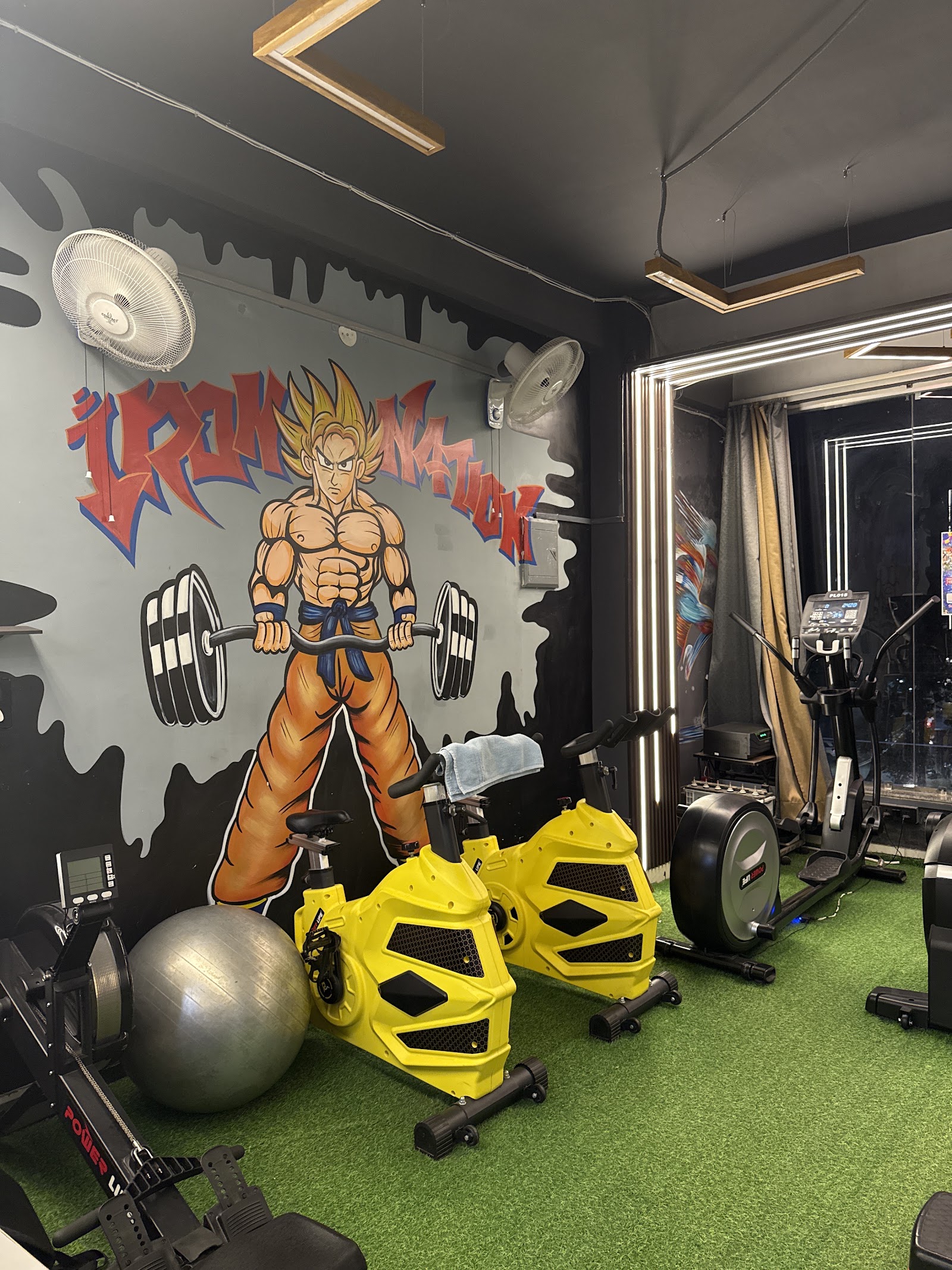 IRON NATION GYM — photo 1