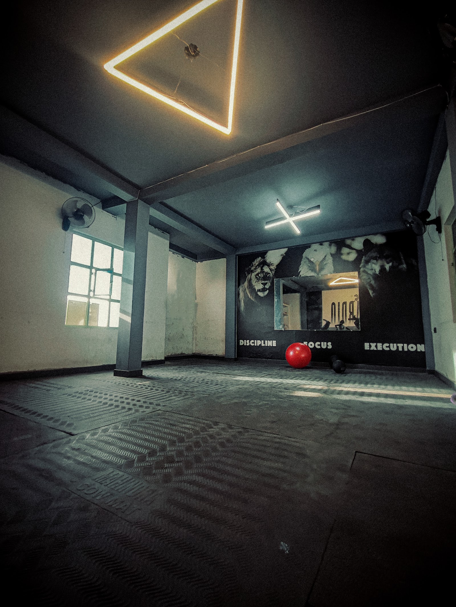 The Shaan Fitness gym (unisex) — photo 5