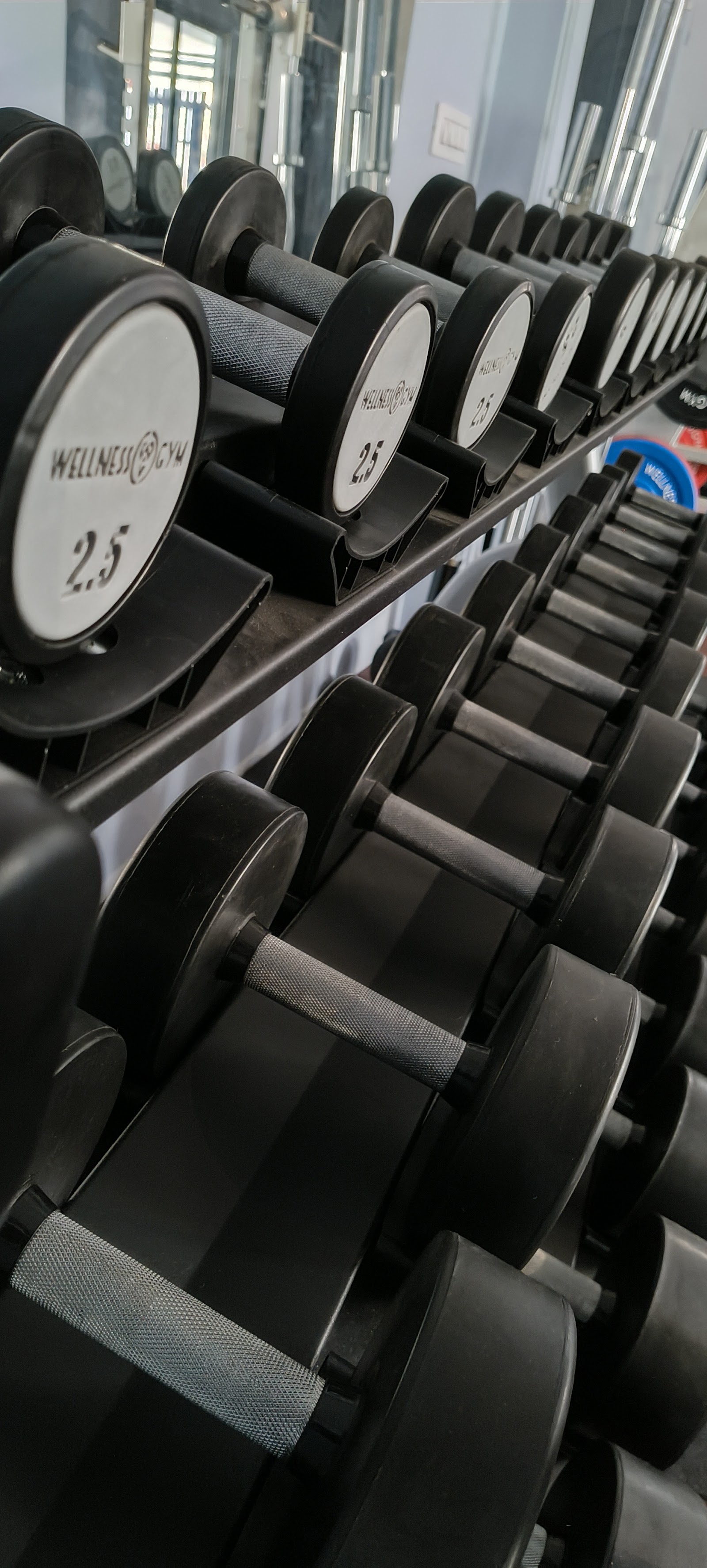 BODY SMITH GYM ( UNISEX GYM) — photo 2