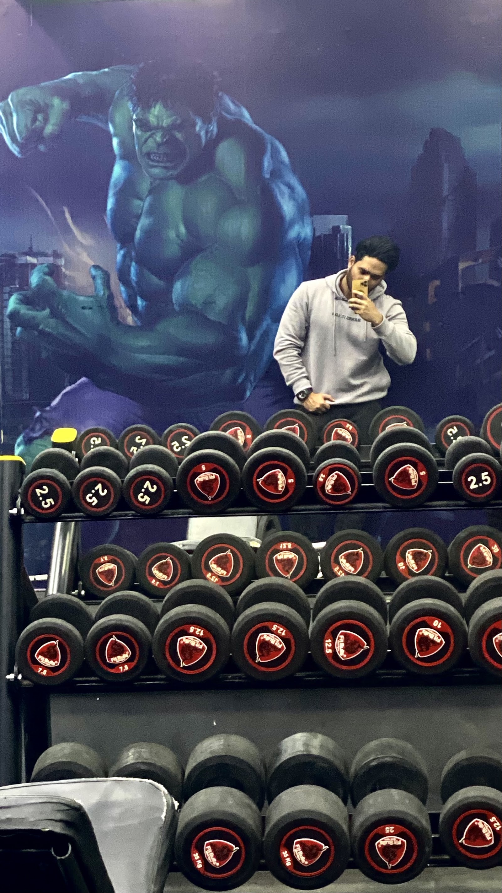 FITNESS FLEX GYM — photo 5