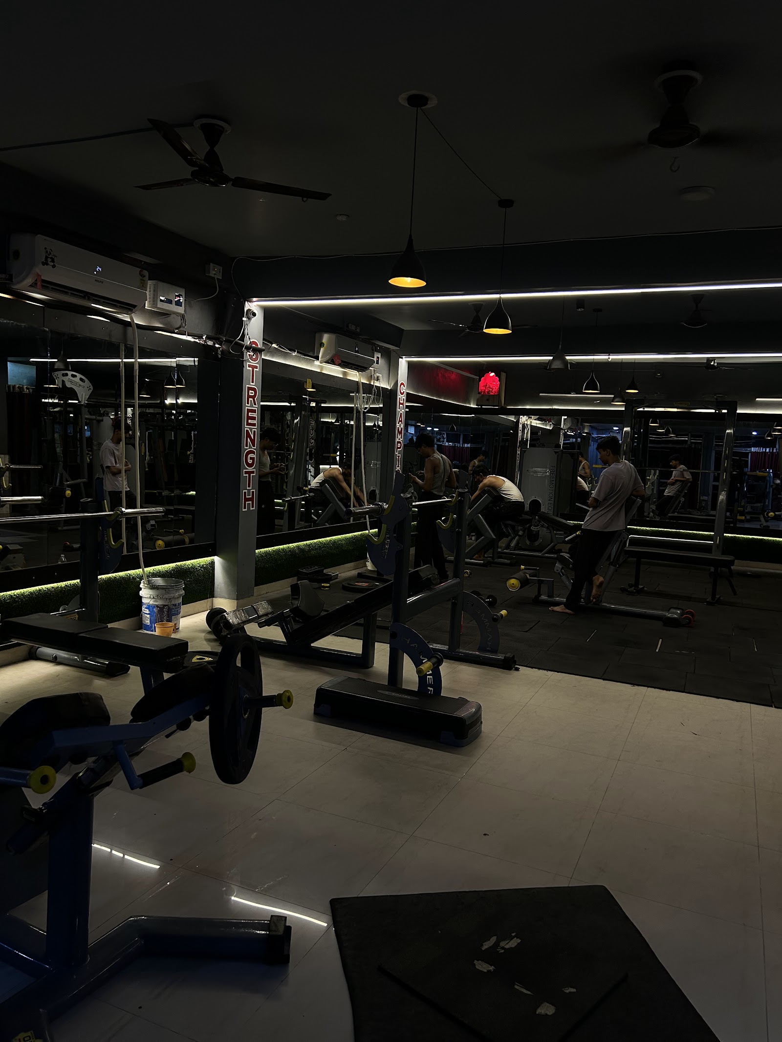 FITNESS KINGDOM GYM — photo 3