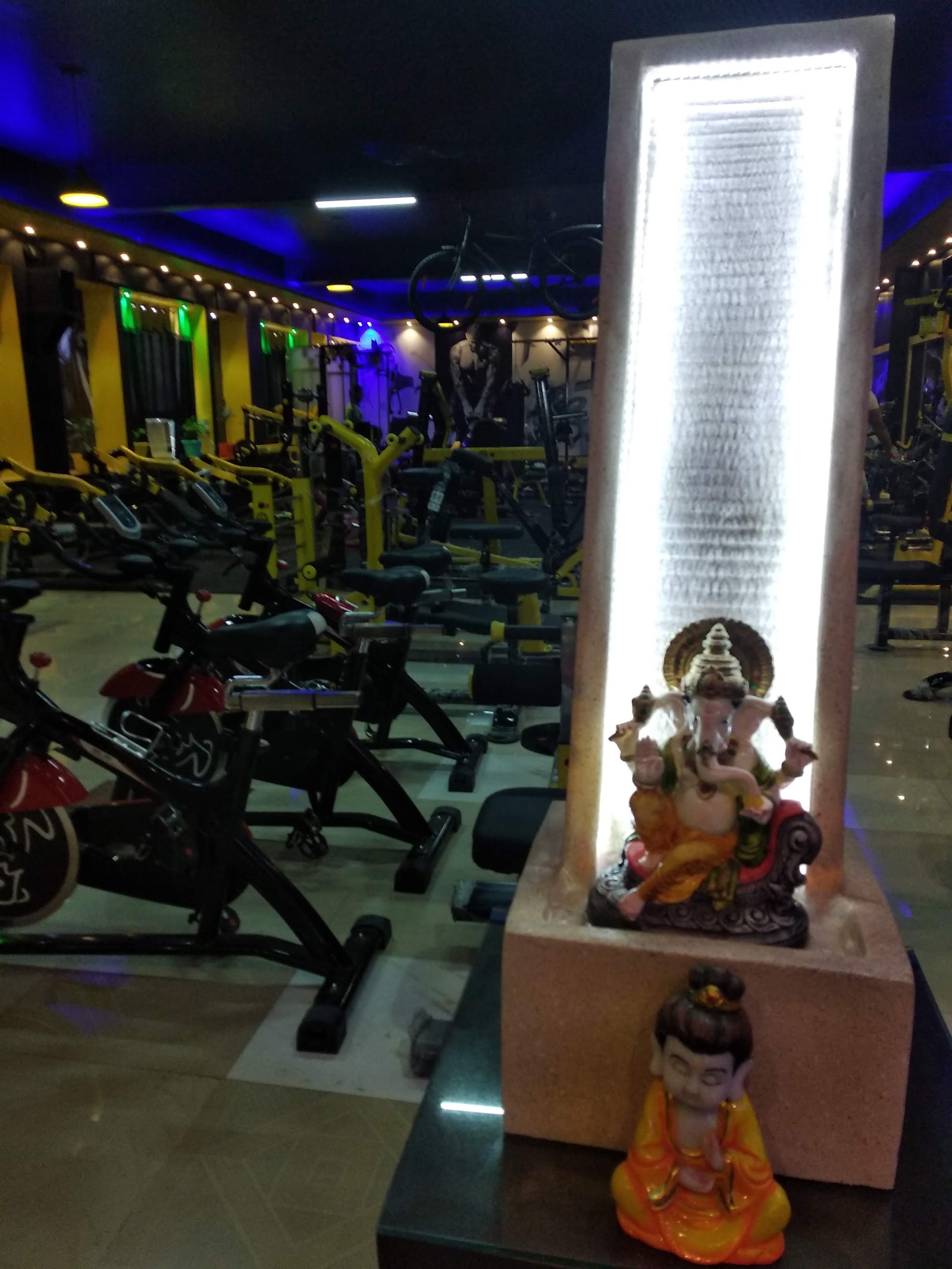 I Work Out Unisex Gym — photo 4