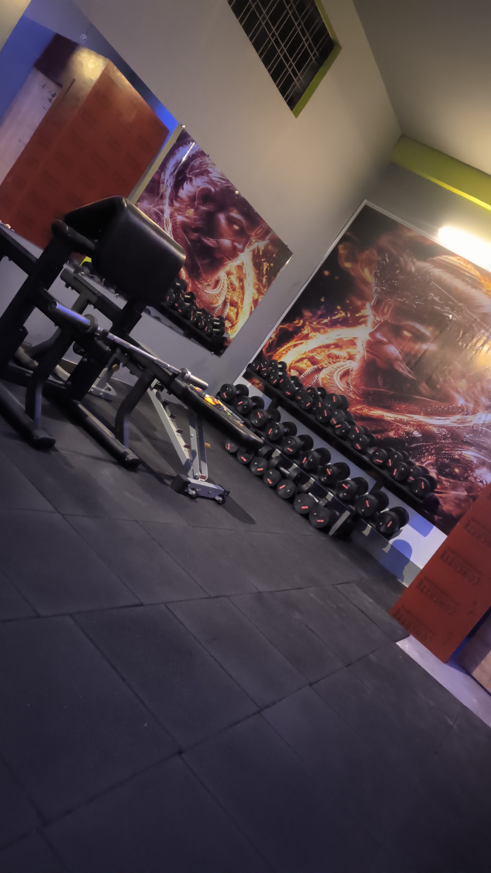 Spartan Gym (Unisex) — photo 8