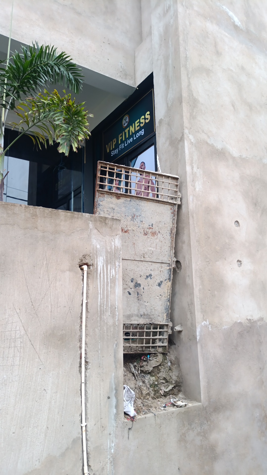 VIP FITNESS — photo 7